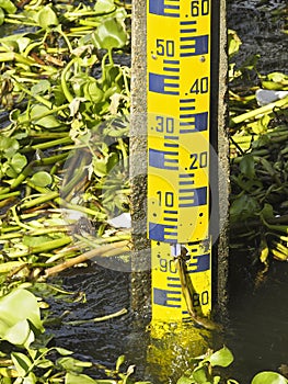 Staff gauge in river