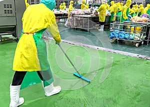 Staff hygiene use mob cleaning floor