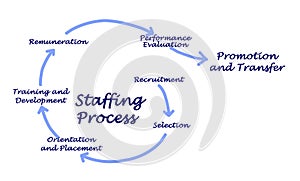 Staffing Process photo
