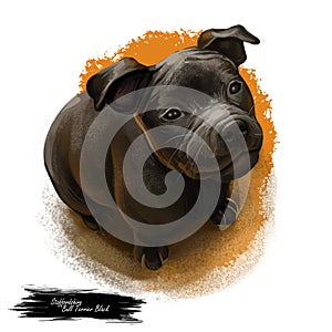 Staffordshire Bull Terrier digital art illustration of cute canine animal of tan color. Muscular dog breed, British