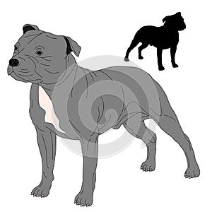 Staffordshire Bull Terrier dog silhouette