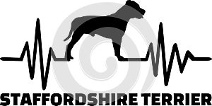 Staffordshire Bull Terrier heartbeat