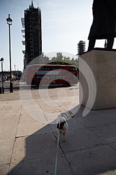 Staffordshire bull terrier next to Churchill sculpture