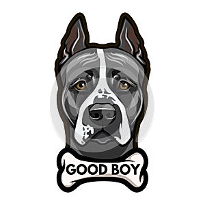 Staffordshire Terrier dog portrait. Bone. Good boy lettering. Vector.