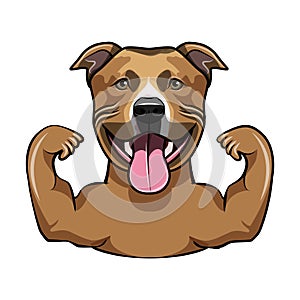 Staffordshire Terrier. Muscles. Dog bodybuilder, sportsman. Smiling dog portrait. Vector.