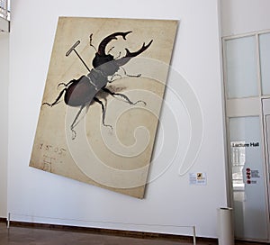 Stag Beetle after Durer
