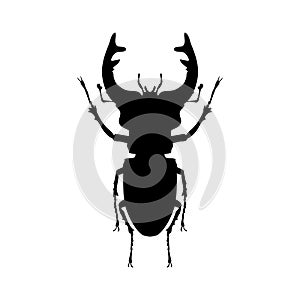 Stag beetle insect black silhouette animal