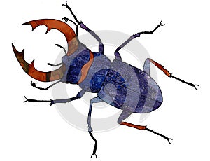 Stag beetle. Stag beetle with red, large antlers. Big, blue, purple bug with a bright, decorated body.
