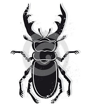 Stag beetle vector