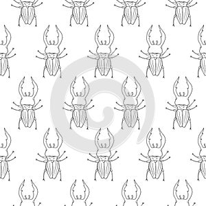 Stag beetle vector seamless pattern isolated on white background