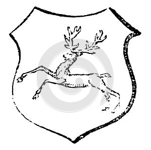 Stag Courant have Running deer, vintage engraving