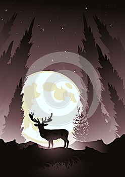 Stag by Moonlight photo