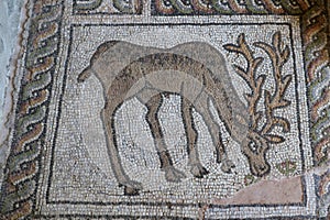 The Stag: represents the Christian soul seeking faith and truth