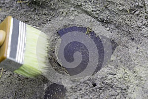 Stage of archaeological work - clearing