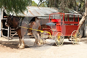 Stage Coach and Clydesdale Draught Horse photo