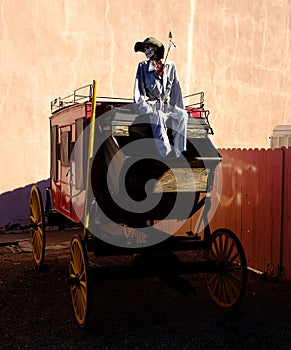 Stage Coach Western Cowboy Skeleton Bones