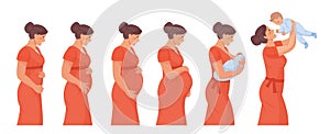 Stages of pregnancy. Stage trimester pregnant woman, infographic growth fetus in belly mom before birth, timeline photo