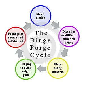 Binge Purge Cycle photo