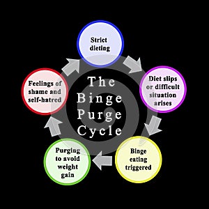 Stages of Binge Purge Cycle