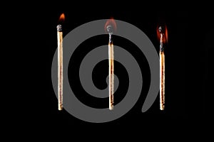 Stages of burning of wooden match on a black background