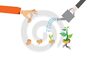 Stages of growth of plant and seed to tree