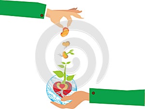 Stages of growth of plant and seed to tree