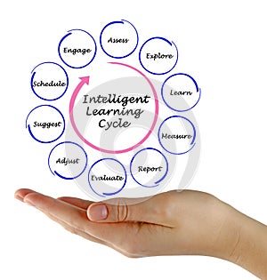 Intelligent Learning Cycle