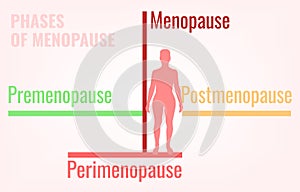 Stages of Menopause Infographic photo