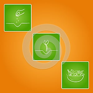 Stages of plant growth in three green squares with white border