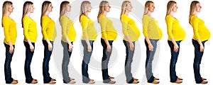 Stages of pregnancy photo