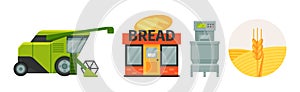 Stages of Production of Bread from Harvest to Baking Vector Set