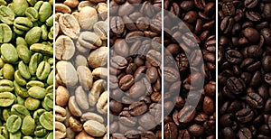 Stages of roasting coffee beans, collage. Banner design