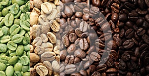 Stages of roasting coffee beans, collage. Banner design