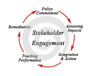 Stages in Stakeholder Engagement