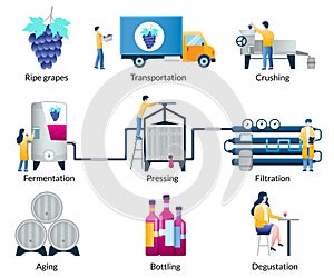 Stages of wine making process, vector isolated illustration