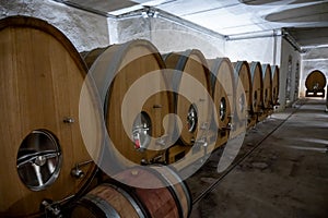 Progreso de vino producción fermentación sobre el embotellado visita sobre el vino bodegas en borgonón Francia. envejecimiento en de madera barriles 