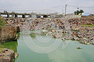 Algae Infested Green Water in a Stagnant Dam