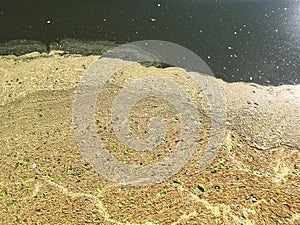 Stagnant polluted water with scum and waste on surface photo