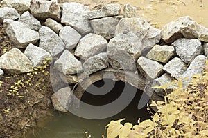 the stagnant rain water inundated at the oil palm field and drain