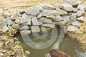 the stagnant rain water inundated at the oil palm field and drain