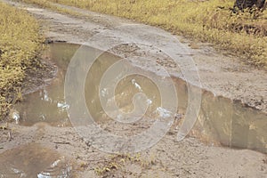 the stagnant rain water inundated at the oil palm field and drain