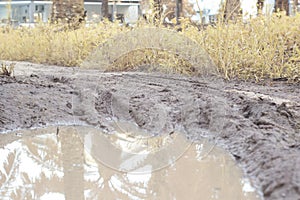 the stagnant rain water inundated at the oil palm field and drain