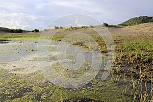 Stagnant water in the sand dune geoheritage