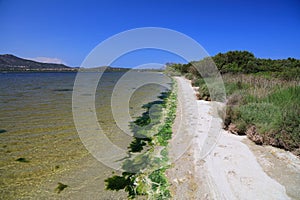 Stagno di San Teodoro lagoon in Sardinia photo