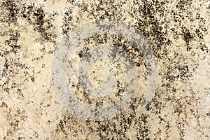 Stain old concrete floor background texture