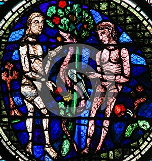 Stained Glass - Adam and Eve