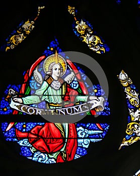 Stained Glass - Angel