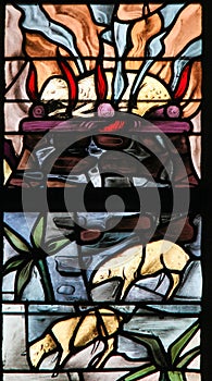 Stained Glass of a burning lamb, symbolizing the Agnus Dei