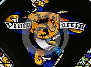 Stained Glass - Flemish Lion