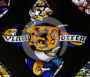 Stained Glass - Flemish Lion